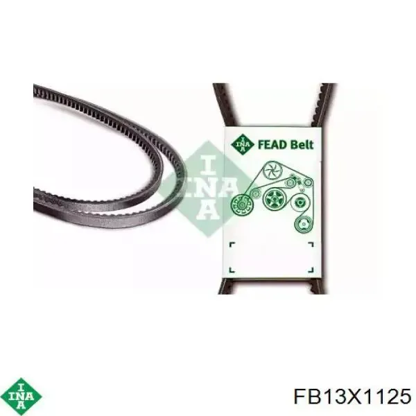 Correa de alternador FB13X1125 INA
