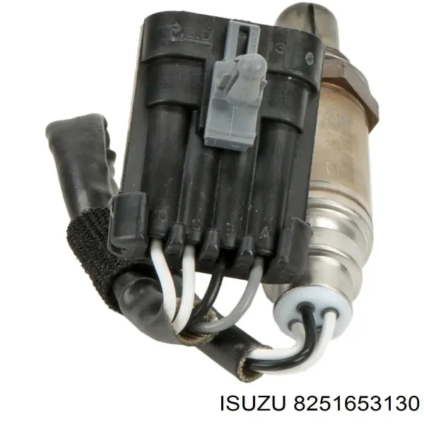 V40760019 Vemo