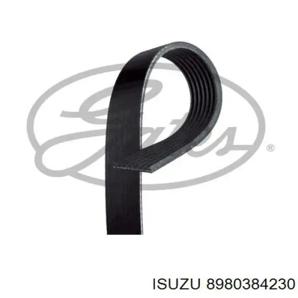 Correa de alternador 8980384230 Isuzu
