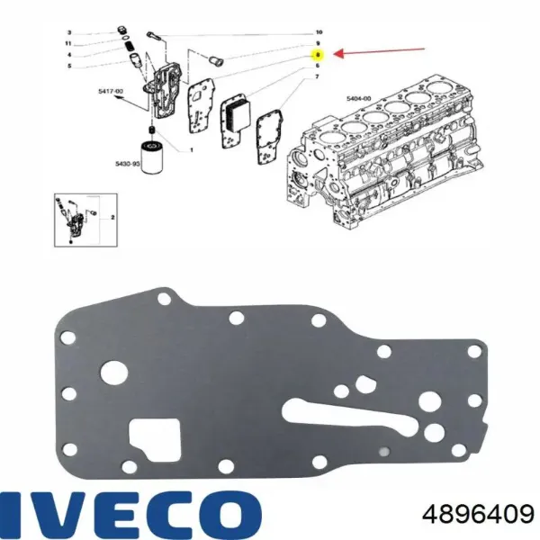 Junta de radiador de aceite 4896409 Iveco
