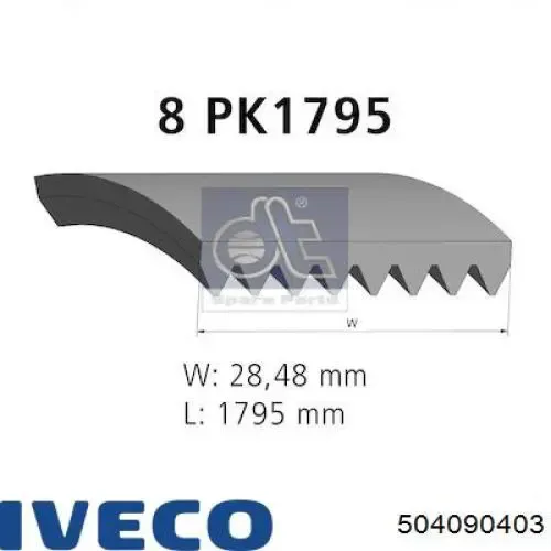 Correa de alternador 504090403 Iveco