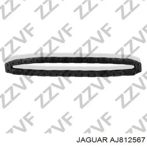 Cadena de distribución AJ812567 Jaguar