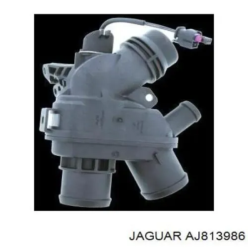 Caja de termostato AJ813902 Jaguar