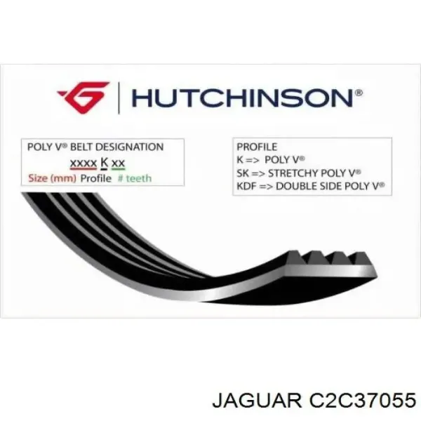 Correa de alternador C2C37055 Jaguar