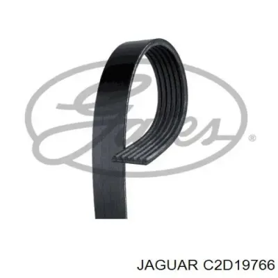 Correa de accesorios, juego JAGUAR C2D19766