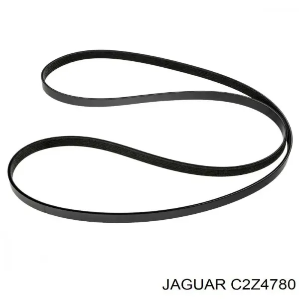 Correa de alternador C2Z4780 Jaguar