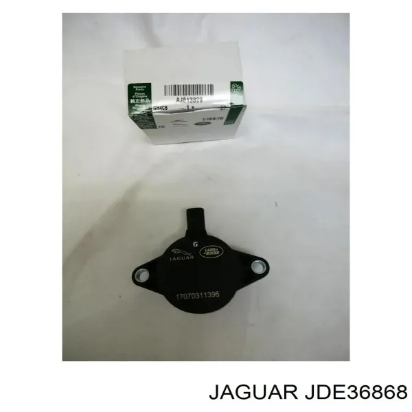 Engranaje del árbol de levas de escape JDE36868 Jaguar