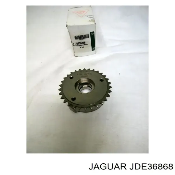 Engranaje del árbol de levas de escape JDE36868 Jaguar