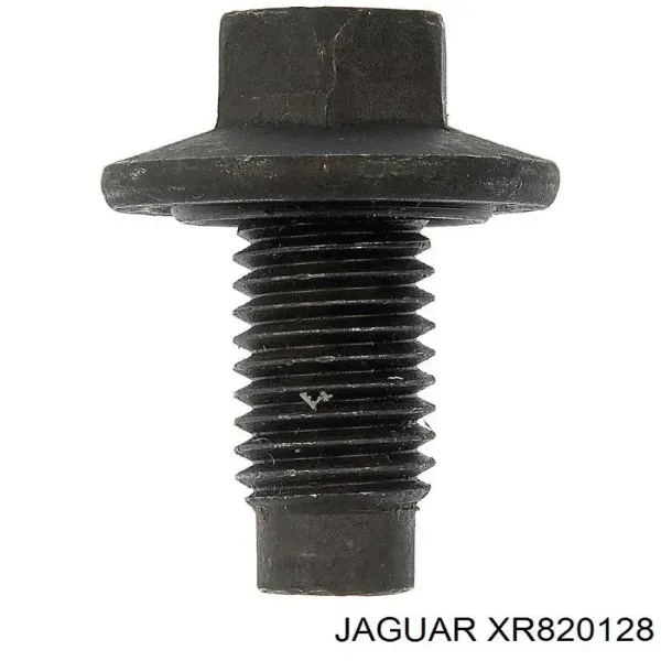  XR820128 Jaguar