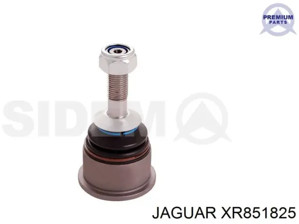 Brazo inferior izquierdo de la suspensión delantera XR851825 Jaguar