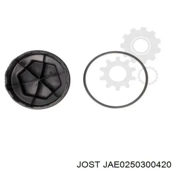 Tapa de cubo de rueda JAE0250300420 Jost