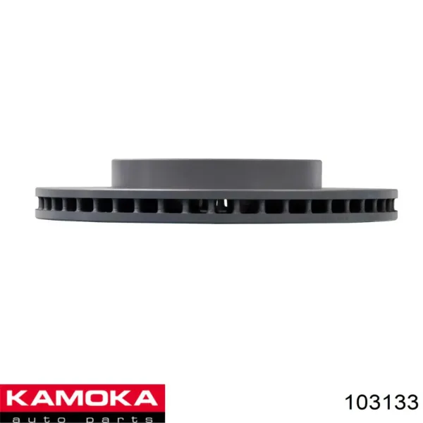 B130531 Denckermann