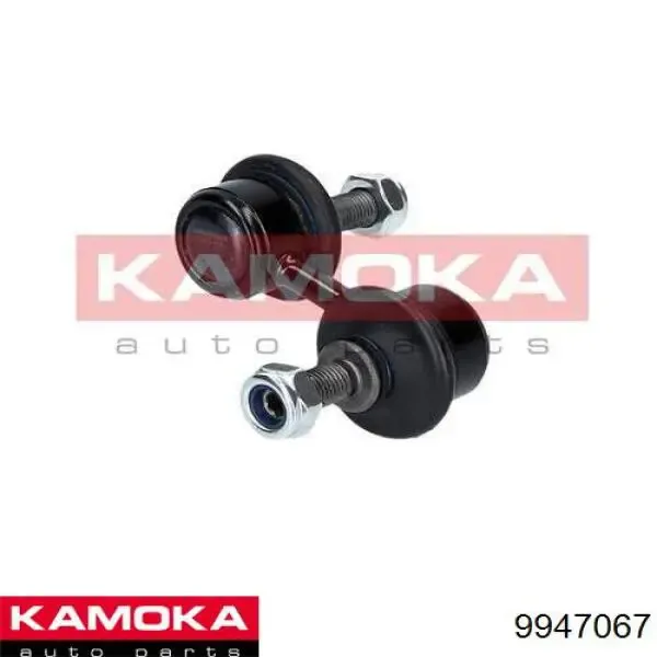 RL513204H Raiso