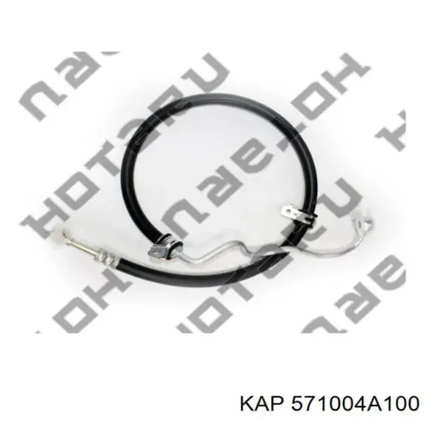 Bomba de dirección Hyundai H-1 STAREX Starex