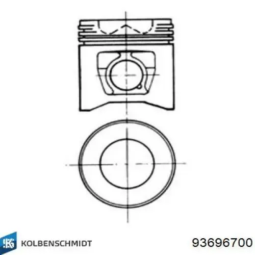 WG1175707 Wilmink Group
