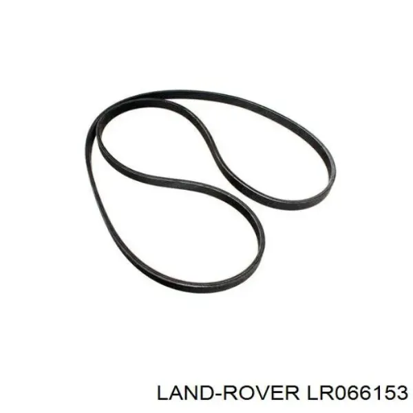 Correa de alternador LR066153 Land Rover