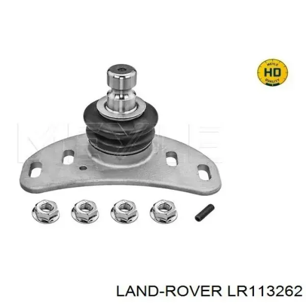 Brazo superior derecho de la suspensión delantera LR113262 Land Rover
