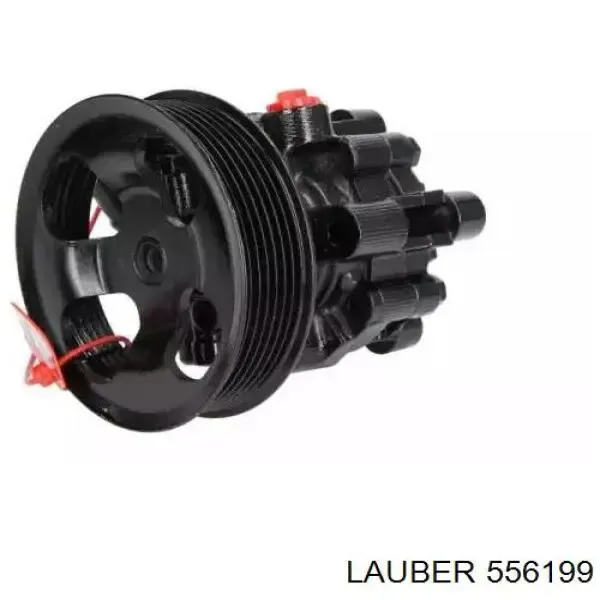 556199 Lauber