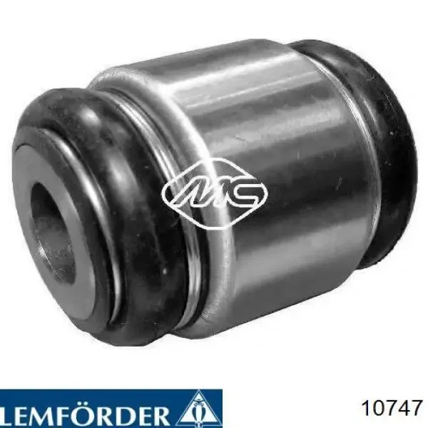 Buje de mangueta trasera 10747 Lemforder