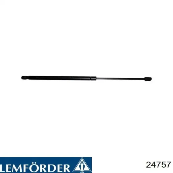 Soporte izquierdo del motor 24757 Lemforder