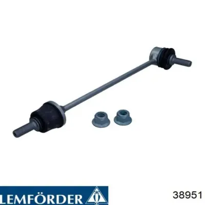 Buje del brazo inferior trasero LEMFORDER 38951