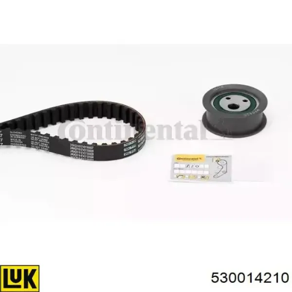 Kit correa de distribución Ford Focus 1 DFW