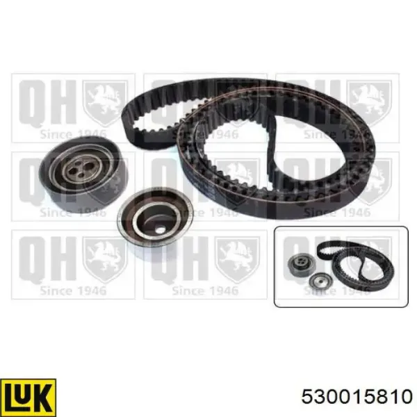 Kit de distribución 530015810 LUK