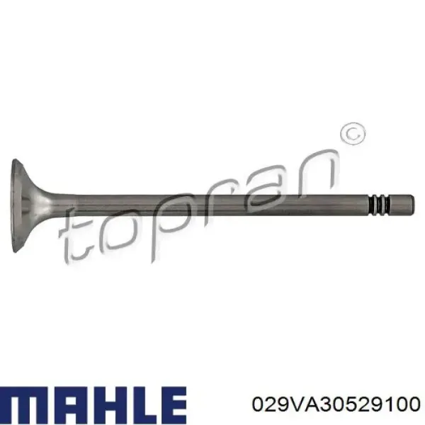 Válvula escape 029VA30529100 Mahle Original