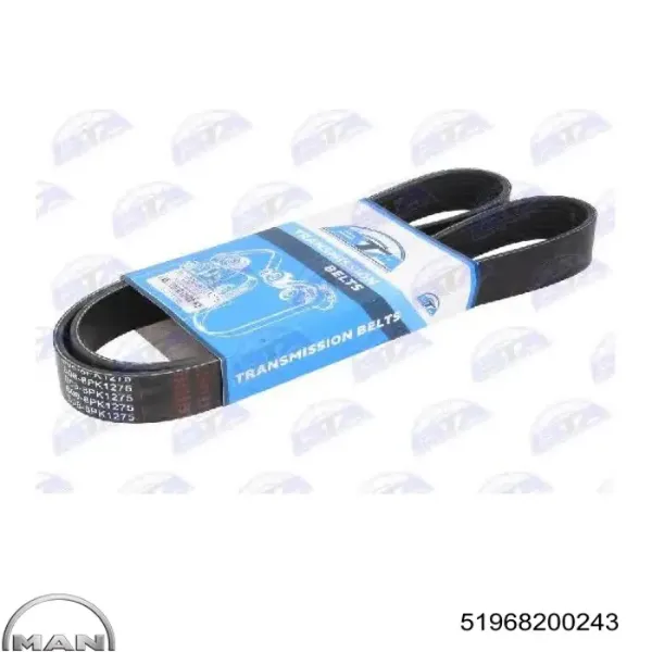 Correa de alternador 51968200243 MAN