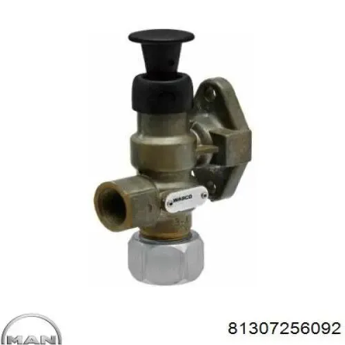 Servo de embrague 81307256092 MAN