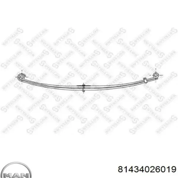Ballesta de suspensión delantera 72810001ZTES TES
