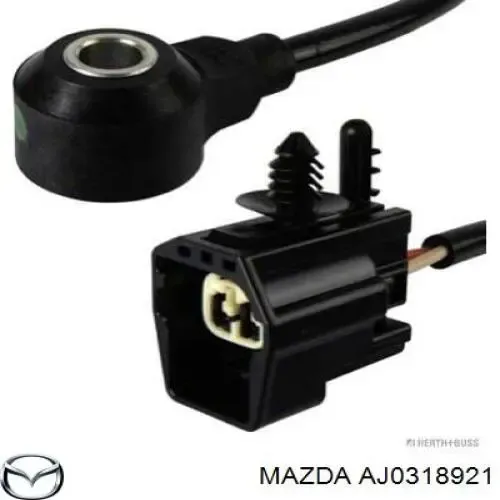 V25721070 Vemo