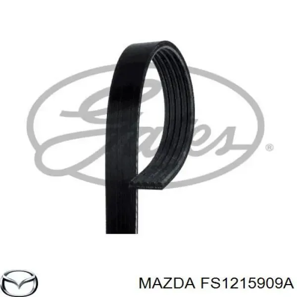 Correa trapezoidal FS1215909A Mazda