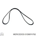 Correa de alternador Mercedes A W169