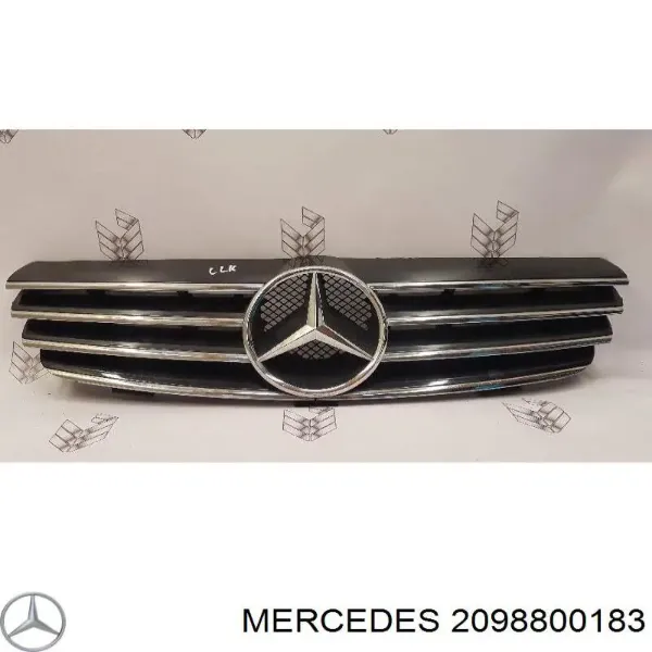 Parrilla Mercedes CLK C209