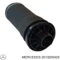 Bolsa de aire del eje trasero Mercedes R W251