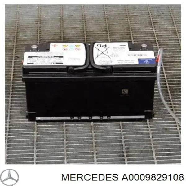 V99170020 Vemo