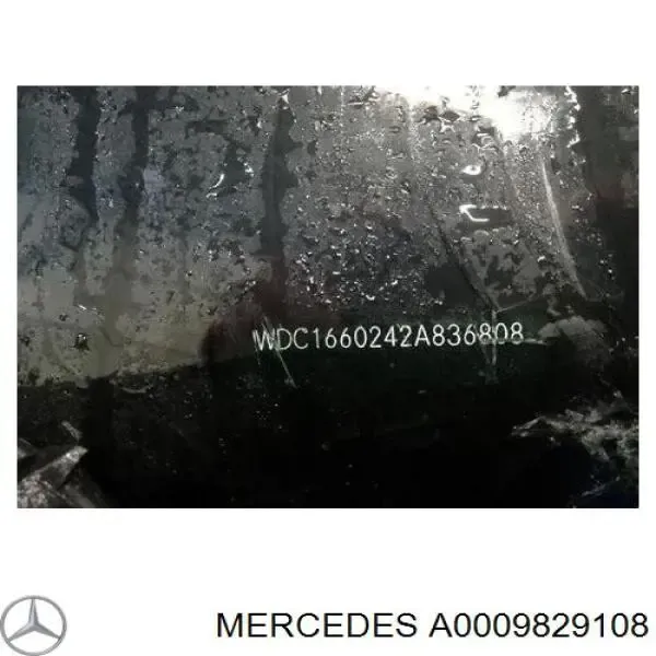 V99170020 Vemo
