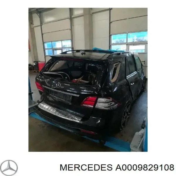 V99170020 Vemo