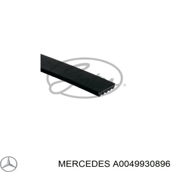 Correa de alternador A0049930896 Mercedes