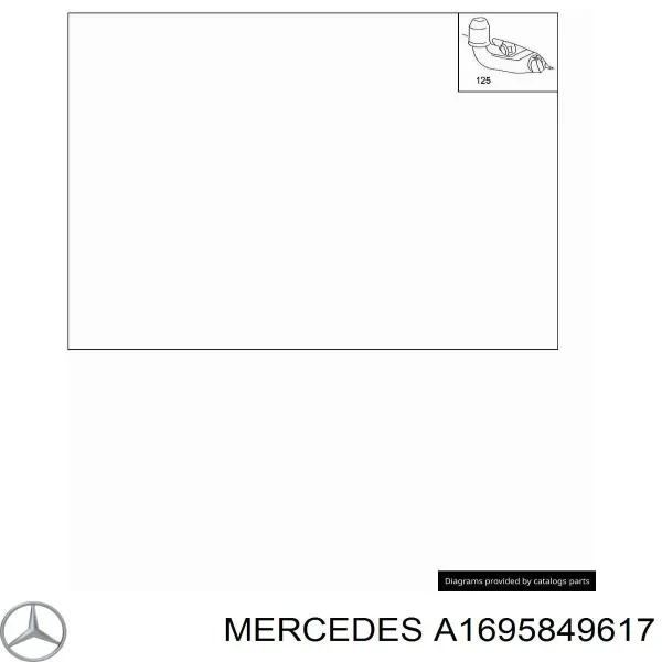  A1695849617 Mercedes