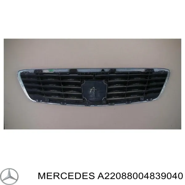 Parrilla A2208800483 Mercedes