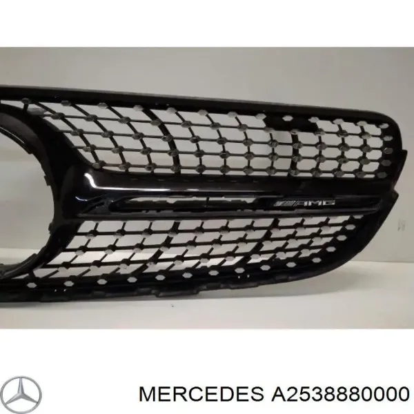 Parrilla A2538880000 Mercedes
