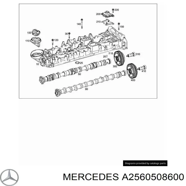 Engranaje del árbol de levas de escape A2560504201 Mercedes