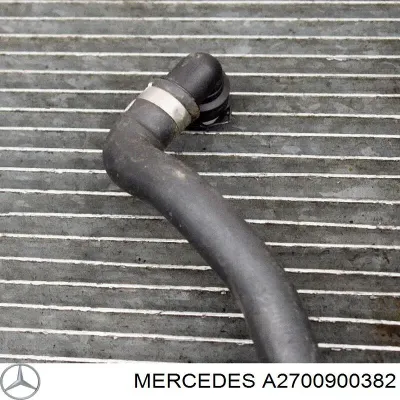 Entrada Del Filtro De Aire MERCEDES A2700900382