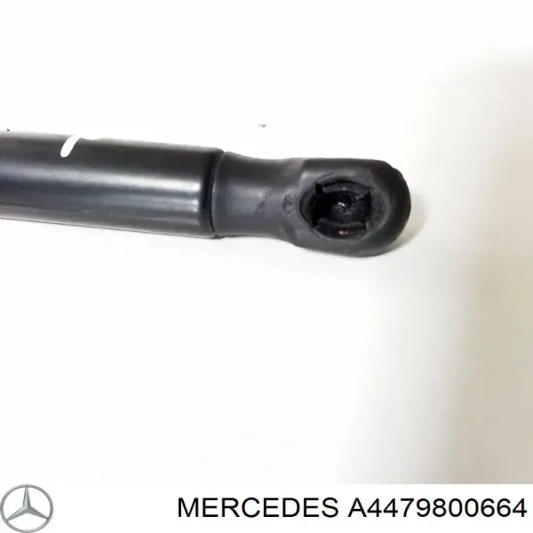 Amortiguador de capó A4479800664 Mercedes