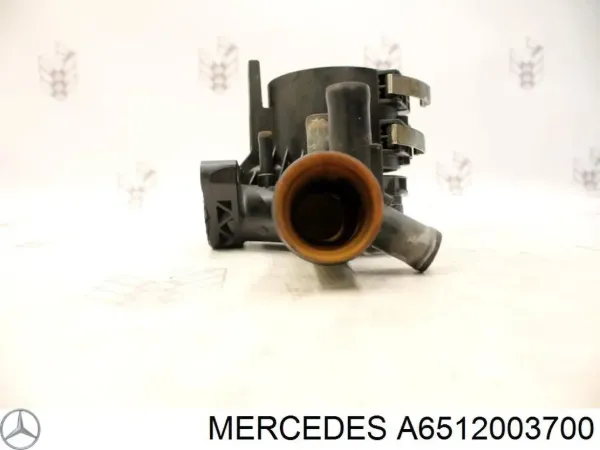 Caja del filtro de combustible A6512003700 Mercedes