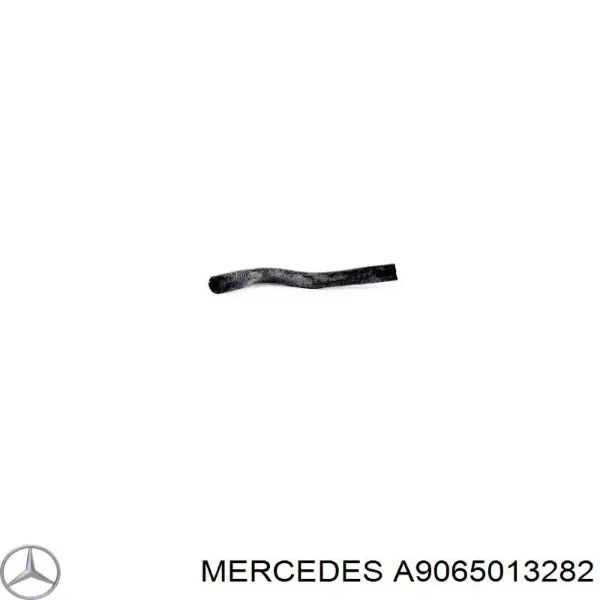 Manguera inferior del radiador A9065013282 Mercedes