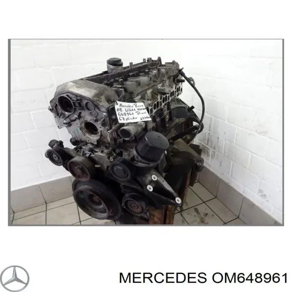 Motor completo OM648961 Mercedes