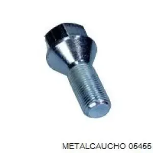 Tornillo de rueda Peugeot Expert VF3V